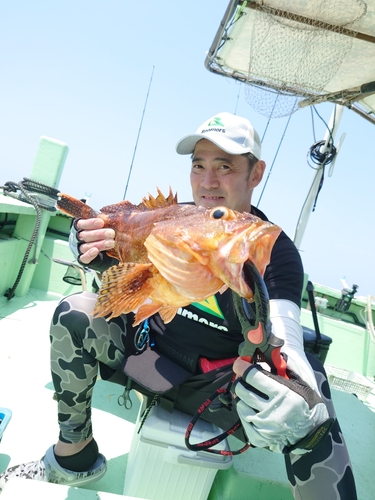 カサゴの釣果