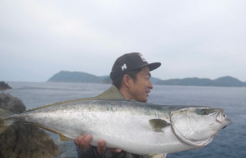 ブリの釣果