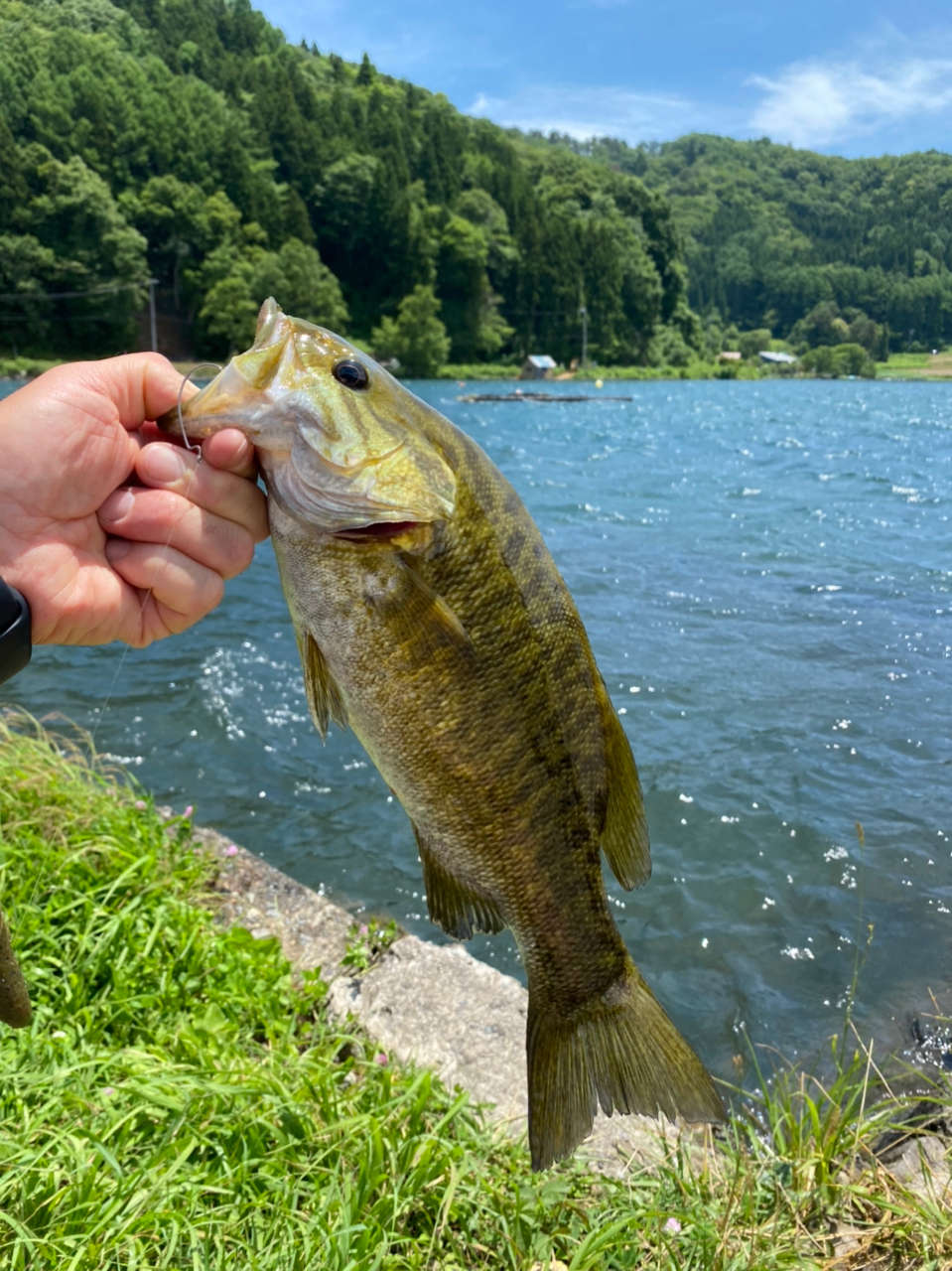 スモールマウスバス