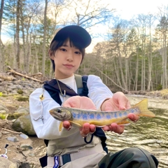 オショロコマの釣果