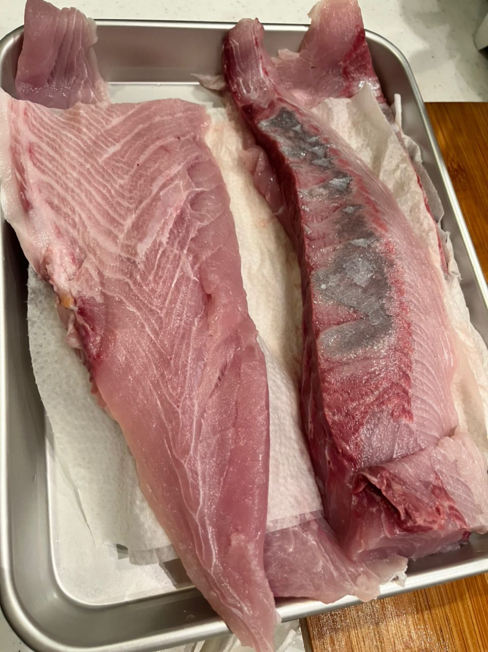 masa1981さんの釣果 2枚目の画像