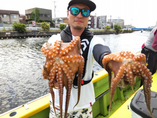 マダコの釣果