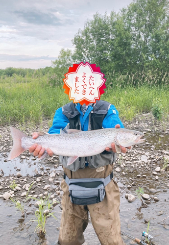 イトウの釣果