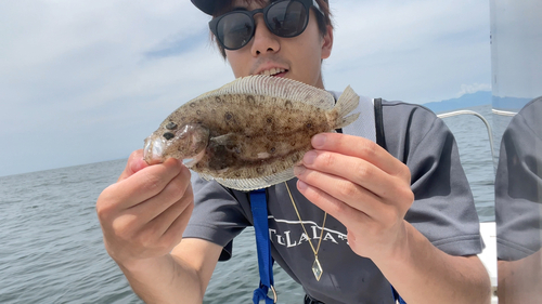 タマガンゾウビラメの釣果