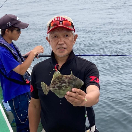 カワハギの釣果