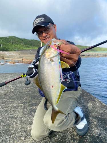 カンパチの釣果