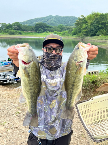 ブラックバスの釣果