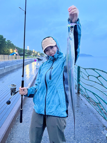 タチウオの釣果