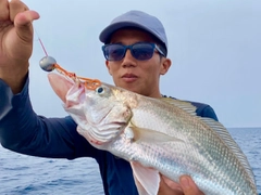 イシモチの釣果