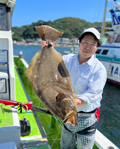 ヒラメの釣果