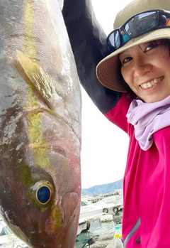 カンパチの釣果