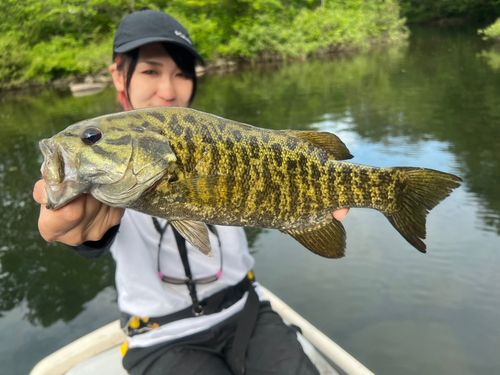 スモールマウスバスの釣果