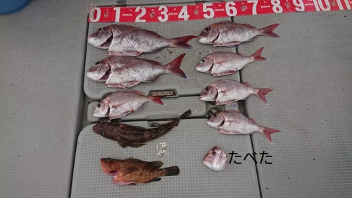 タイの釣果