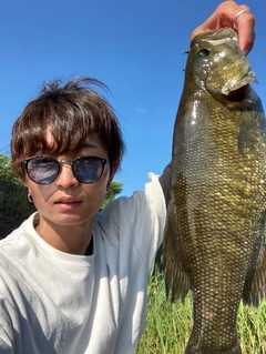 スモールマウスバスの釣果