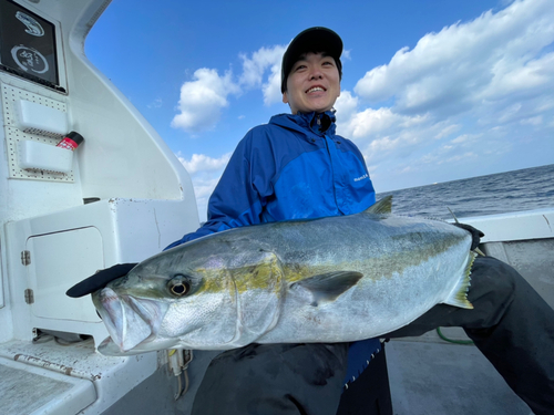 ヒラマサの釣果