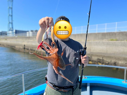 マダコの釣果