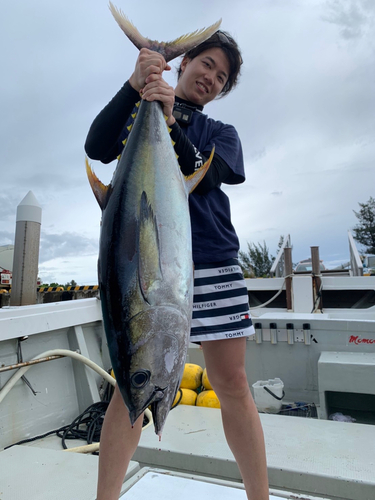 キハダマグロの釣果