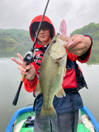 ブラックバスの釣果