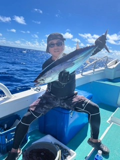 カツオの釣果