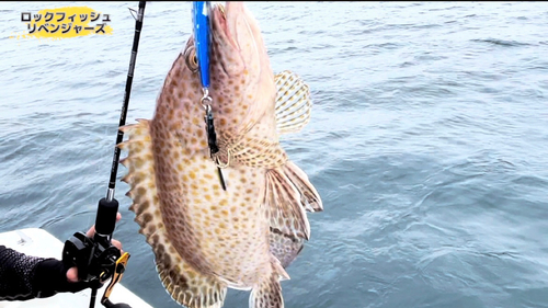 オオモンハタの釣果