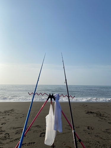 ソウハチの釣果