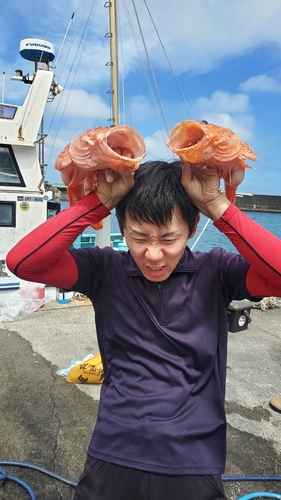 オニカサゴの釣果