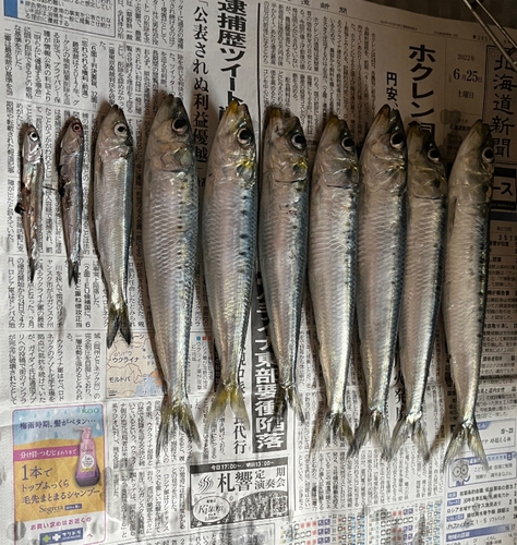 釣果