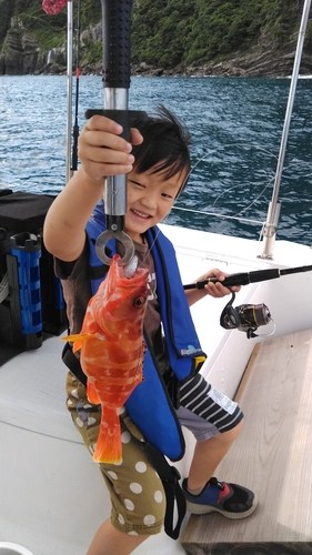 アカハタの釣果