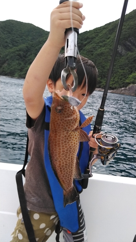 オオモンハタの釣果