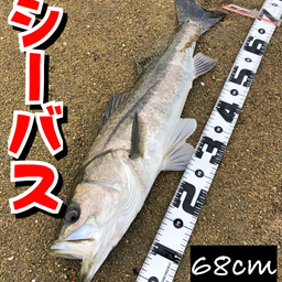 takangler🎣の釣果