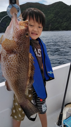 オオモンハタの釣果