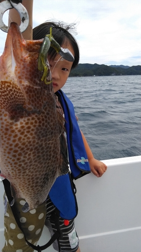 オオモンハタの釣果