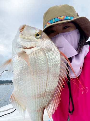 タイワンダイの釣果