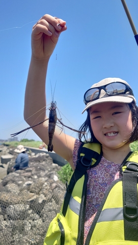 テナガエビの釣果