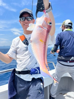 アマダイの釣果