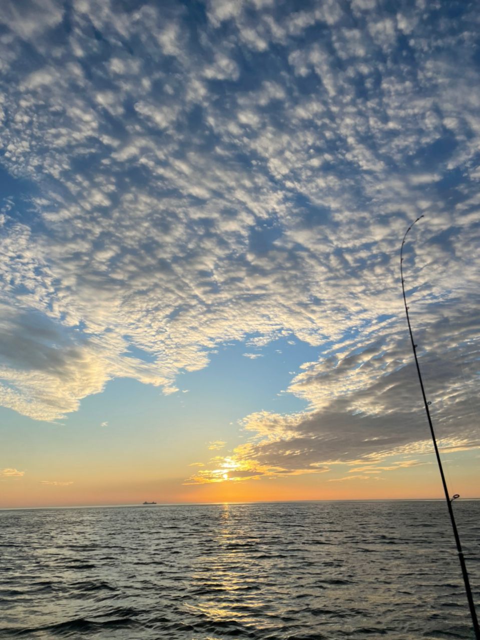かず06さんの釣果 2枚目の画像