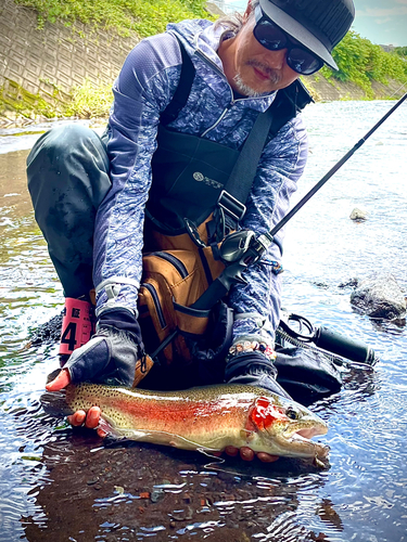 ニジマスの釣果