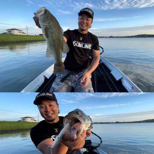 ブラックバスの釣果