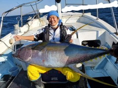 キハダマグロの釣果