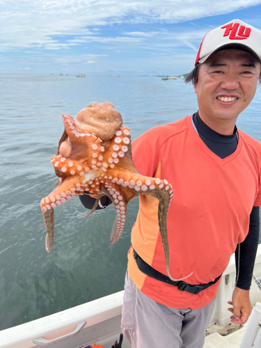 マダコの釣果