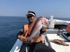 アマダイの釣果