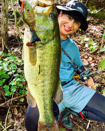 ブラックバスの釣果