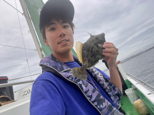 カワハギの釣果