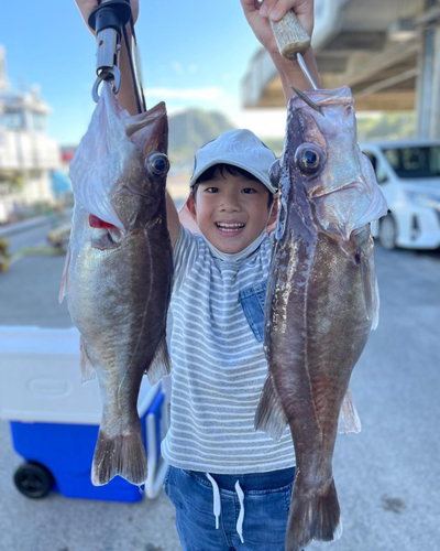 アラの釣果