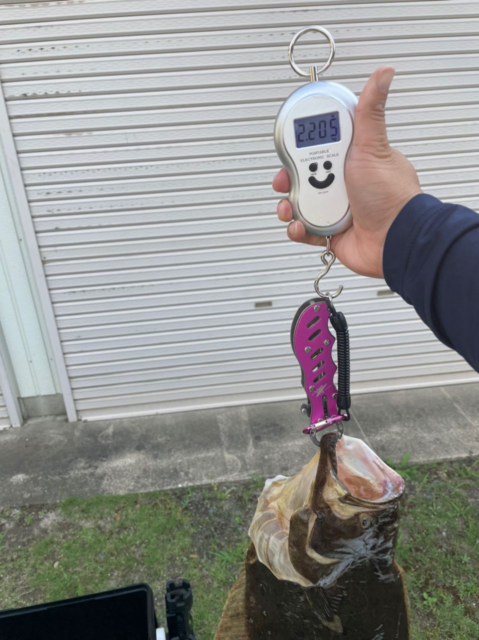 日本人さんの釣果 2枚目の画像