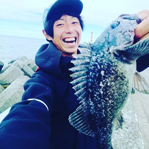 ムラソイの釣果