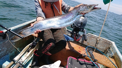 タチウオの釣果