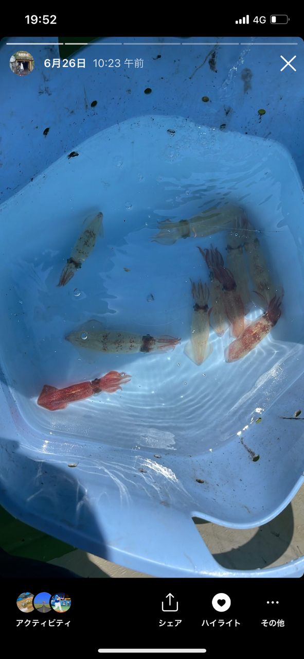 群馬の海人さんの釣果 2枚目の画像