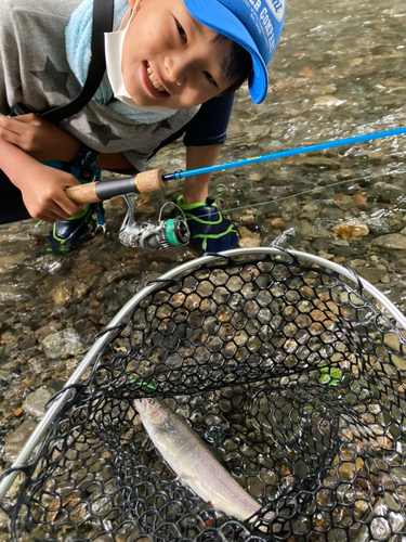 ニッコウイワナの釣果