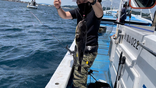 マフグの釣果